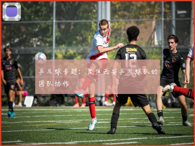 乒乓球专题：聚焦西安乒乓球队的团队协作